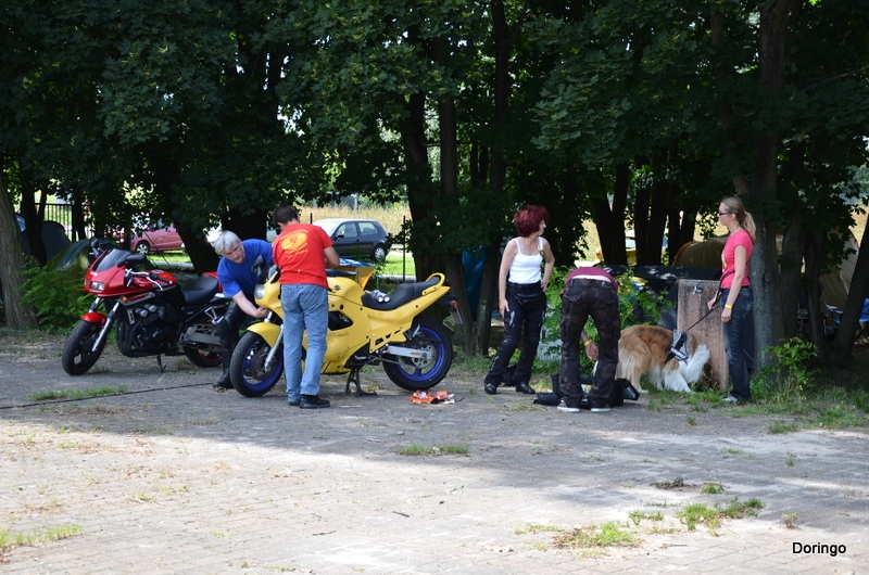 DSC 5033