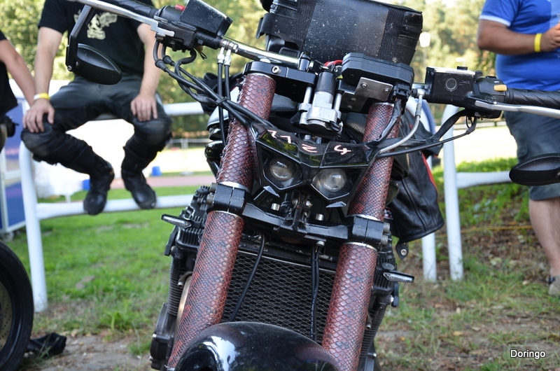 DSC 5069