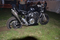 DSC 5309
