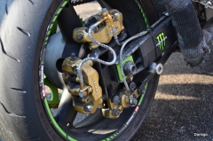 DSC 5401